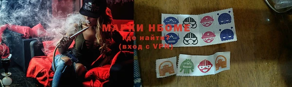 ПСИЛОЦИБИНОВЫЕ ГРИБЫ Ельня