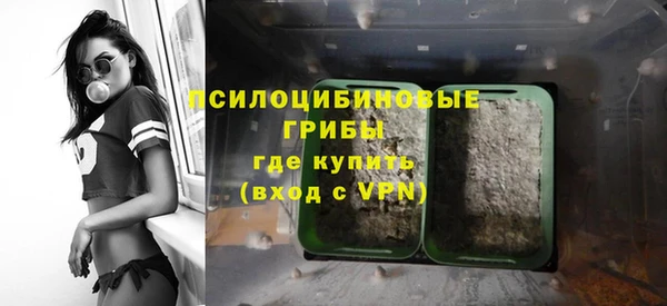 ПСИЛОЦИБИНОВЫЕ ГРИБЫ Ельня