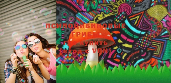 ПСИЛОЦИБИНОВЫЕ ГРИБЫ Ельня