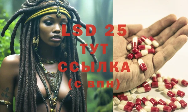 ПСИЛОЦИБИНОВЫЕ ГРИБЫ Ельня